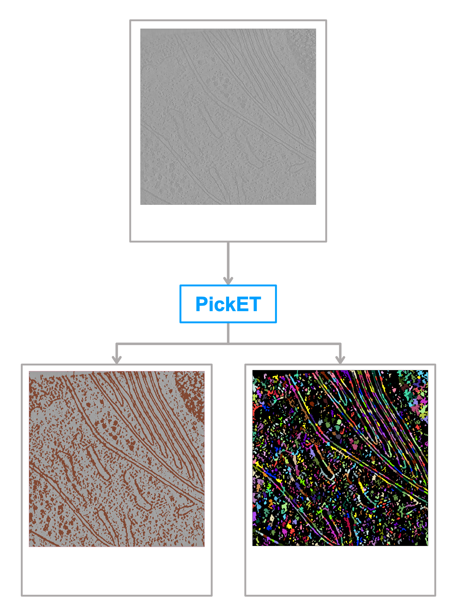 PickET graphical abstract
