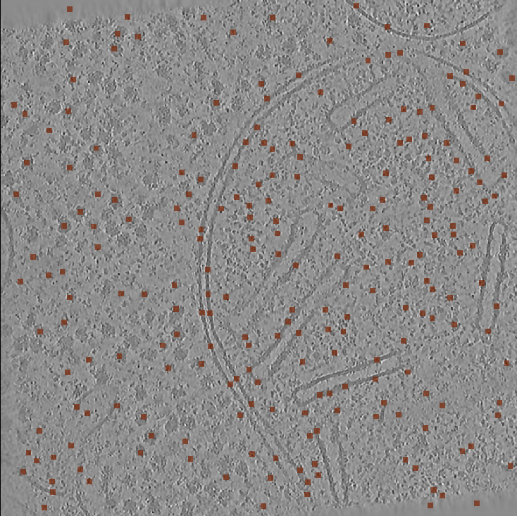 Fig. 5: Output from S2 - Predicted centroids