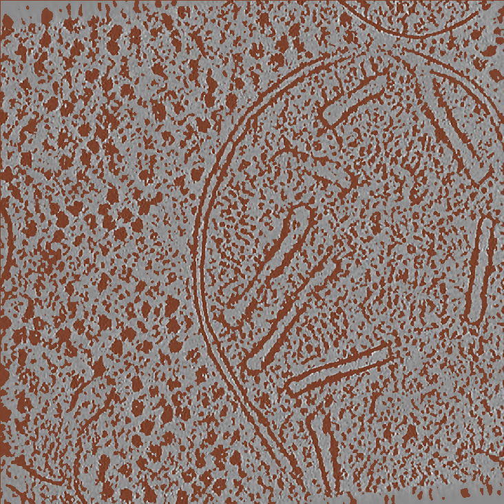 Fig. 3A: Output from S1 - Semantic segmentation